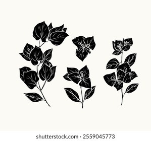 Flat vector bougainvillea flowers collection