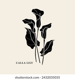 Flat vector calla lily flower illustration