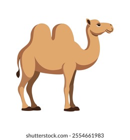 Flat Vector Camel Illustration, Simplified Beige Body with Large Hump, Minimalist Cartoon Style