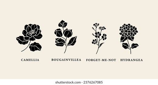 Flat vector camellia, bougainvillea, forget-me-not, hydrangea svg