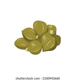 Flat vector of Capers isolated on white background. Flat illustration graphic icon