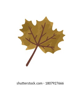 Dibujo gráfico vectorial plano de hojas marrones marchitas de otoño. Icono de arce canadiano seco al caer aislado en fondo blanco