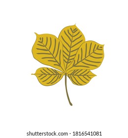 Flat vector cartoon illustration of autumn withered chestnut leaf. Natural fall foliage element for herbarium isolated on white background. Autumn foliage seasonal background