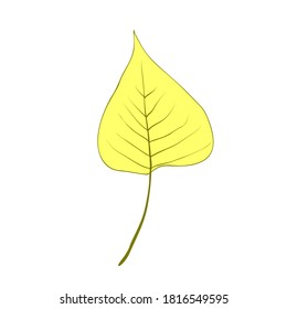 Flat vector cartoon illustration of autumn withered yellow birch leaf. Natural fall foliage element for herbarium isolated on white background. Autumn foliage seasonal background