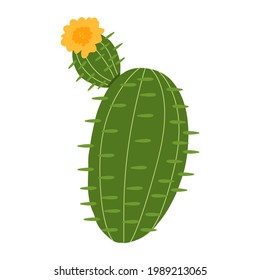 Flache Vektorgrafik einer lustigen Kaktus mit Blumen. Exotische, prickelige Pflanze einzeln auf weißem Hintergrund.