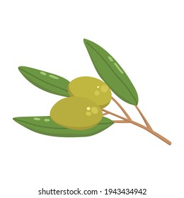 Flat vector cartoon illustration of an olive branch. A glossy vegetable raw vegan product rich in vitamins. Isolated design on a white background.
