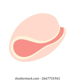 Flat vector cartoon illustration of a pink sea shell with smooth curved shape, isolated on white background. For card, marine, beach, vacation, sea, ocean, summer design. Hand drawn.
