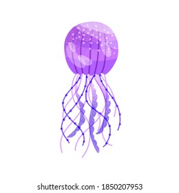 Flat vector cartoon illustration of swimming purple jellyfish. Vibrant violet medusa isolated on white background. Marine jelly fish, aquatic underwater creature