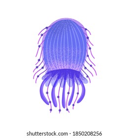 Flat vector cartoon illustration of vibrant jellyfish with tentacles. Violet medusa isolated on white background. Marine bright jelly fish. Swimming underwater creature