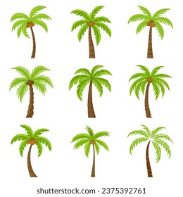 Palm Trees De Dibujo Vector Plano, Icono De Árbol De Palma Aislado. Plantilla de diseño de palmeras para concepto tropical, vacacional, playa, verano. Ilustración vectorial. Vista frontal