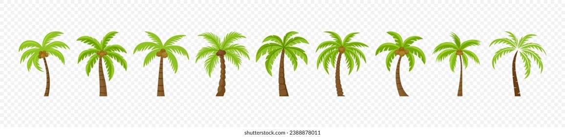 Flat Vector Cartoon Palm Trees, Palm Tree Icon Set Isolated. Palm Design Template for Tropical, Vacation, Beach, Summer Concept. Vector Illustration. Front View