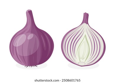 Cartoon Vetor Plano Roxo Cebola Inteira, Metade. Cebola fresca desenhada à mão. Ilustração Vegetal. Clipart de cebola, Icon Closeup isolado no fundo branco. Design de alimentos, Ingrediente de cozinha saudável