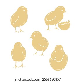 Flat vector chicks collection. Whimsical illustration