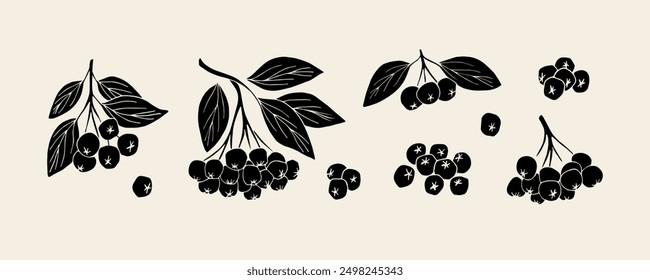 Flat vector chokeberry branches collection