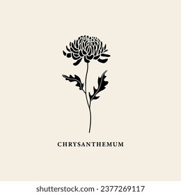 Flat vector chrysanthemum flower illustration