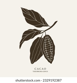 Flat vector cocoa branch illustration