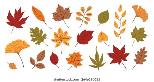 Flat vector collection of colorful autumn leaves. Hand drawn fall foliage set with maple, oak, ginkgo, chestnut and other leaf types. Seasonal clipart for fall design, posters and patterns.