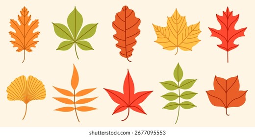 Flat vector collection of colorful autumn leaves illustration with different shapes. Simple fall leaf set for scrapbooking, card, pattern, banner, textile, packaging, printable, kids design.