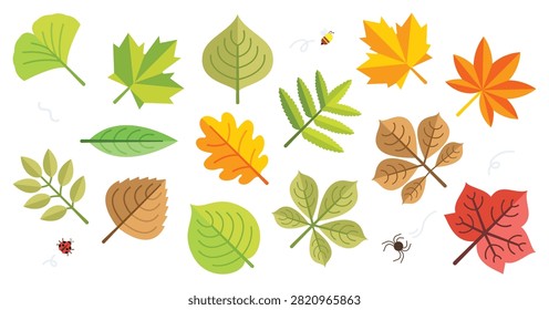 Flat vector collection of diverse tree leaves including maple, oak, ginkgo, fern, birch in green, orange, brown and red autumn tones, plus ladybug, bee and spider, isolated on clean white background.