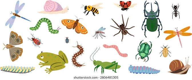 flat vector collection of various colorful insects and small creatures. Includes dragonflies, snails, a bee, ladybug, caterpillars, butterflies, a spider, ant, mosquito, centipede, worm, and a frog