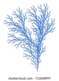 Flat Vector Computer Generated  L-system Branching Fractal  - Isolated Seaweed - Generative Art 