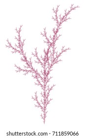 Flat Vector Computer Generated  L-system Branching Fractal  - Isolated Seaweed - Generative Art 