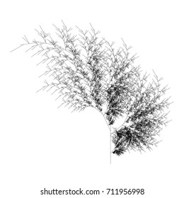 Flat Vector Computer Generated  L-system Fractal Plant - Generative Art  
