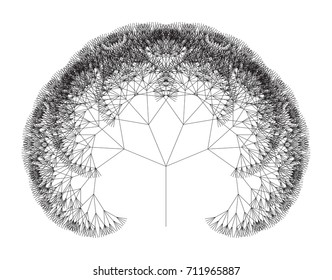 Flat Vector Computer Generated   L-system Fractal Tree - Generative Art  