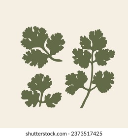 Flat vector coriander plant illustration