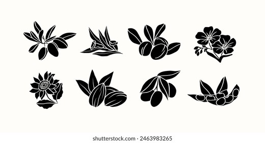 Flat vector cosmetic plants and flowers. Argan, sesame, shea, flax, sunflower, almond, olive, soybeans