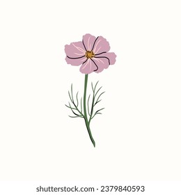 Flat vector cosmos flower illustration