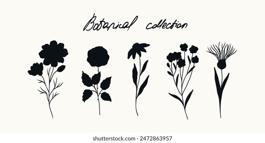 Flat vector cosmos, rose, chamomile, forget-me-not, milk thistle