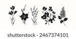 Flat vector crocus, gladiolus, lavender, dogwood, lilac