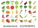 Flat vector of cute bright colors of Vegetables and beans vector icon collections. Illustration isolated on white background 