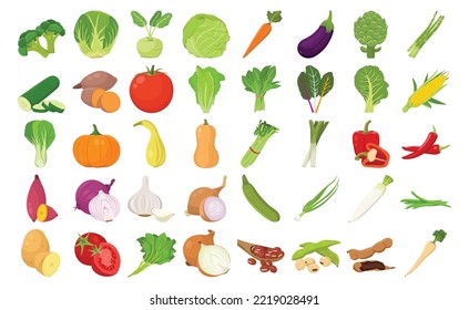 Flat vector of cute bright colors of Vegetables and beans vector icon collections. Illustration isolated on white background  svg