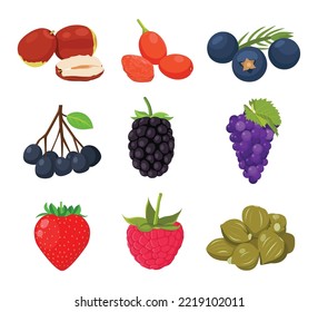 Flat vector of cute bright colors of berries fruits vector icon collections. Illustration isolated on white background 