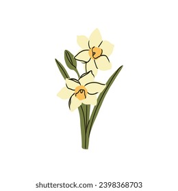 Flat vector daffodil flower illustration