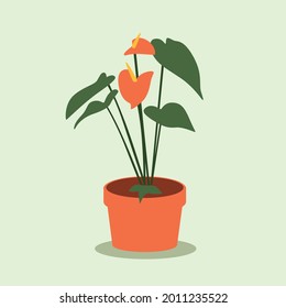 Flat vector design of anthurium leaf, indoor decoration plant