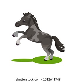 Flat vector design of cute gray spotted horse standing on its hind legs. Pony with short mane and long tail