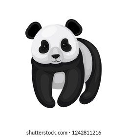 Flat vector design of cute little panda. Black and white bamboo bear with shiny eyes. Exotic animal