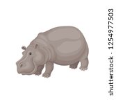 Flat vector design of gray adult hippo. Large African animal. Wild creature. Fauna theme