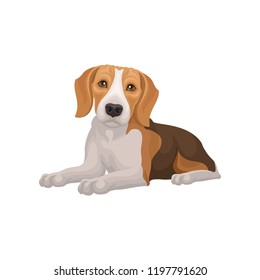 Flat vector design of lying beagle dog. Small puppy with cute muzzle. Domestic animal. Element for pet food packaging