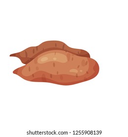 Flat vector design of two ripe sweet potatoes. Organic vegetable. Fresh and tasty vegetable. Natural product