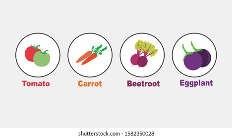 flat vector designs of Vegetables icons contains tomato's , carrot , beetroot, eggplant or brinjal 