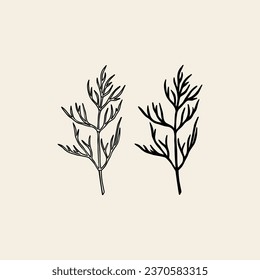 Flat vector dill branch illustration	
