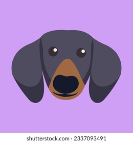 flat vector dog animal dachshund