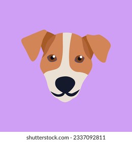 gato vectorial plano animal jack russell terrier