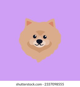 flat vector dog animal pomeranian
