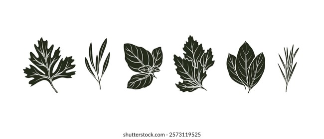 Flat vector doodle herbs. Cilantro, tarragon, basil, parsley, laurel bay, rosemary