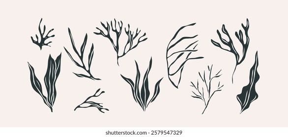 FLat vector doodle seaweed collection